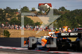 2022-07-29 - spectators, fans 04 NORRIS Lando (gbr), McLaren F1 Team MCL36, action during the Formula 1 Aramco Magyar Nagydij 2022, Hungarian Grand Prix 2022, 12th round of the 2022 FIA Formula One World Championship from July 28 to 31, 2022 on the Hungaroring, in Mogyorod, Hungary - F1 - HUNGARIAN GRAND PRIX 2022 - FORMULA 1 - MOTORS