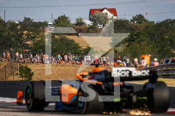 2022-07-29 - spectators, fans 03 RICCIARDO Daniel (aus), McLaren F1 Team MCL36, action during the Formula 1 Aramco Magyar Nagydij 2022, Hungarian Grand Prix 2022, 12th round of the 2022 FIA Formula One World Championship from July 28 to 31, 2022 on the Hungaroring, in Mogyorod, Hungary - F1 - HUNGARIAN GRAND PRIX 2022 - FORMULA 1 - MOTORS