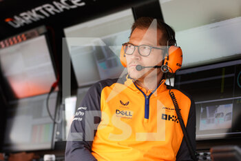 2022-07-30 - SEIDL Andreas, Team Principal of McLaren F1 Team, portrait during the Formula 1 Aramco Magyar Nagydij 2022, Hungarian Grand Prix 2022, 12th round of the 2022 FIA Formula One World Championship from July 28 to 31, 2022 on the Hungaroring, in Mogyorod, Hungary - F1 - HUNGARIAN GRAND PRIX 2022 - FORMULA 1 - MOTORS