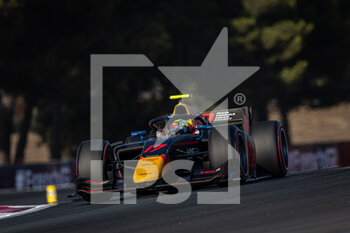 2022-07-24 - 17 IWASA Ayumu (jpn), DAMS, Dallara F2, action during the 9th round of the 2022 FIA Formula 2 Championship, from July 22 to 24, 2022 on the Circuit Paul Ricard, in Le Castellet, France - AUTO - FORMULA 2 2022 - FRANCE - FORMULA 2 - MOTORS