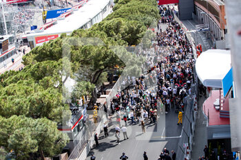 2022-04-30 - grille de depart starting grid during the 2022 Monaco ePrix, 4th meeting of the 2021-22 ABB FIA Formula E World Championship, on the Circuit de Monaco from April 29 to 30, in Monaco - 2022 MONACO EPRIX, 4TH MEETING OF THE 2021-22 ABB FIA FORMULA E WORLD CHAMPIONSHIP - FORMULA E - MOTORS