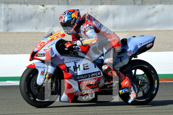2022-11-04 - Fabio Di Giannantonio Team Gresini Racing Motogp - 2022 GRAN PREMIO MOTUL DE LA COMUNITAT VALENCIANA - MOTOGP SPAIN GRAND PRIX - FREE PRACTICE - MOTOGP - MOTORS