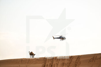 2022-01-09 - Ambience during the Stage 7 of the Dakar Rally 2022 between Riyadh and Al Dawadimi, on January 9th 2022 in Al Dawadimi, Saudi Arabia - STAGE 7 OF THE DAKAR RALLY 2022 BETWEEN RIYADH AND AL DAWADIMI - RALLY - MOTORS