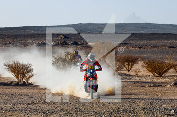 2022-01-13 - 01 Benavides Kevin (arg), Red Bull KTM Factory Racing, KTM 450 Rally Factory Replica, Moto, W2RC, action during the Stage 11 of the Dakar Rally 2022 around Bisha, on January 13th 2022 in Bisha, Saudi Arabia - STAGE 11 OF THE DAKAR RALLY 2022 AROUND BISHA - RALLY - MOTORS