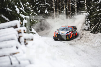 2022-02-24 - 08 TANAK Ott (est), JARVEOJA Martin (est), Hyundai Shell Mobis World Rally Team, Hyundai i20 N Rally 1, action during the Rally Sweden 2022, 2nd round of the 2022 WRC World Rally Car Championship, from February 24 to 27, 2022 at Umea, Vasterbotten County, Sweden - RALLY SWEDEN 2022, 2ND ROUND OF THE 2022 WRC WORLD RALLY CAR CHAMPIONSHIP - RALLY - MOTORS