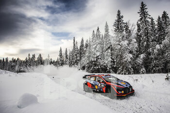 2022-02-25 - 08 TANAK Ott (est), JARVEOJA Martin (est), Hyundai Shell Mobis World Rally Team, Hyundai i20 N Rally 1, action during the Rally Sweden 2022, 2nd round of the 2022 WRC World Rally Car Championship, from February 24 to 27, 2022 at Umea, Vasterbotten County, Sweden - RALLY SWEDEN 2022, 2ND ROUND OF THE 2022 WRC WORLD RALLY CAR CHAMPIONSHIP - RALLY - MOTORS