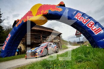 2022-04-24 - FIA World Rally Championship, 2022,Zagreb, Croatia
24,April,  2022 
HYUNDAI SHELL MOBIS WORLD RALLY TEAM 
Thierry NEUVILLE Martijn WYDAEGHE  - 2022 WRC RALLY OF CROATIA, RALLY WORLD CHAMPIONSHIP - RALLY - MOTORS