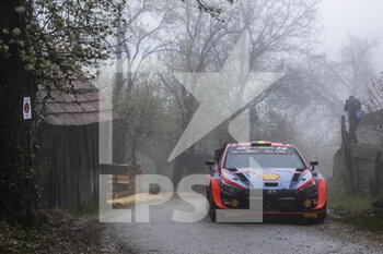2022-04-22 - 11 NEUVILLE Thierry (bel), WYDAEGHE Martijn (bel), Hyundai Shell Mobis World Rally Team, Hyundai i20 N Rally 1, action during the Croatia Rally 2022, 3rd round of the 2022 WRC World Rally Car Championship, from April 21 to 24, 2022 at Zagreb, Croatia - CROATIA RALLY 2022, 3RD ROUND OF THE 2022 WRC WORLD RALLY CAR CHAMPIONSHIP - RALLY - MOTORS