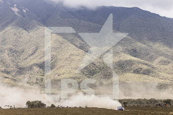 2022-06-24 - 19 LOEB Sebastien (fra), GALMICHE Isabelle (fra), M-Sport Ford World Rally Team, Ford Puma Rally 1, action during the Safari Rally Kenya 2022, 6th round of the 2022 WRC World Rally Car Championship, from June 23 to 26, 2022 at Nairobi, Kenya - AUTO - WRC - SAFARI RALLY KENYA 2022 - RALLY - MOTORS