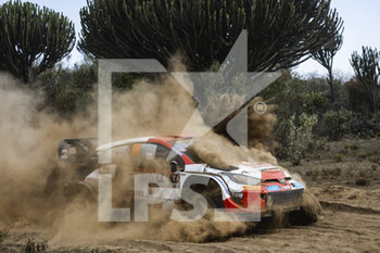 2022-06-24 - 69 ROVANPERA Kalle (fin), HALTTUNEN Jonne (FIN), Toyota Gazoo Racing WRT, Toyota GR Yaris Rally 1, action during the Safari Rally Kenya 2022, 6th round of the 2022 WRC World Rally Car Championship, from June 23 to 26, 2022 at Nairobi, Kenya - AUTO - WRC - SAFARI RALLY KENYA 2022 - RALLY - MOTORS