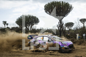 2022-06-24 - 44 GREENSMITH Gus (gbr), ANDERSSON Jonas (swe), M-Sport Ford World Rally Team, Ford Puma Rally 1, action during the Safari Rally Kenya 2022, 6th round of the 2022 WRC World Rally Car Championship, from June 23 to 26, 2022 at Nairobi, Kenya - AUTO - WRC - SAFARI RALLY KENYA 2022 - RALLY - MOTORS