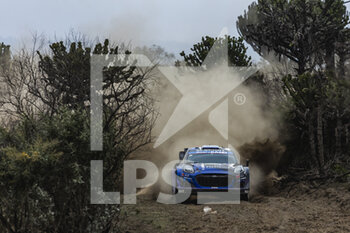 2022-06-24 - 09 SERDERIDIS Jourdan (arc), MICLOTTE Frederic (bel), M-Sport Ford World Rally Team, Ford Puma Rally 1, action during the Safari Rally Kenya 2022, 6th round of the 2022 WRC World Rally Car Championship, from June 23 to 26, 2022 at Nairobi, Kenya - AUTO - WRC - SAFARI RALLY KENYA 2022 - RALLY - MOTORS