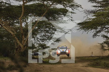 2022-06-25 - 08 TANAK Ott (est), JARVEOJA Martin (est), Hyundai Shell Mobis World Rally Team, Hyundai i20 N Rally 1, action during the Safari Rally Kenya 2022, 6th round of the 2022 WRC World Rally Car Championship, from June 23 to 26, 2022 at Nairobi, Kenya - AUTO - WRC - SAFARI RALLY KENYA 2022 - RALLY - MOTORS