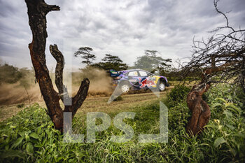 2022-06-25 - 42 BREEN Craig (irl), NAGLE Paul (irl), M-Sport Ford World Rally Team, Ford Puma Rally 1, action during the Safari Rally Kenya 2022, 6th round of the 2022 WRC World Rally Car Championship, from June 23 to 26, 2022 at Nairobi, Kenya - AUTO - WRC - SAFARI RALLY KENYA 2022 - RALLY - MOTORS