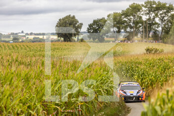 2022-08-19 - 08 TANAK Ott (est), JARVEOJA Martin (est), Hyundai Shell Mobis World Rally Team, Hyundai i20 N Rally 1, action during the Ypres Rally Belgium 2022, 9th round of the 2022 WRC World Rally Car Championship, from August 18 to 21, 2022 at Ypres, Belgium - AUTO - WRC - YPRES RALLY BELGIUM 2022 - RALLY - MOTORS