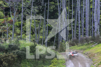 2022-10-02 - 01 OGIER Sebastien (fra), VEILLAS Benjamin (fra), Toyota Gazoo Racing WRT, Toyota GR Yaris Rally 1, action during the Rally New Zealand 2022, 11th round of the 2022 WRC World Rally Car Championship, from September 29 to October 2, 2022 at Auckland, New Zealand - AUTO - WRC - RALLY NEW ZEALAND 2022 - RALLY - MOTORS