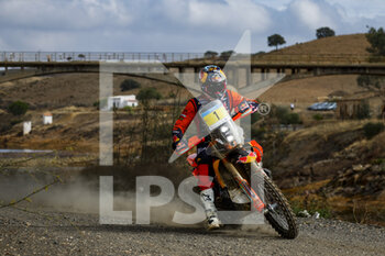 2022-10-22 - 01 BENAVIDES Kevin (arg), Red Bull KTM Factory Racing, KTM 450 Rally Factory, FIM W2RC, Moto, action during the Stage 3 of the Andalucia Rally 2022, 4th round of the 2022 FIA World Rally-Raid Championship, on October 22, 2022 in Sevilla, Spain - AUTO - ANDALUCIA RALLY 2022 - RALLY - MOTORS