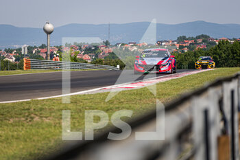 2022-06-11 - 05 MICHELISZ Norbert (HUN), BRC Hyundai N Squadra Corse, Hyundai Elantra N TCR, action during the WTCR - Race of Hungary 2022, 3rd round of the 2022 FIA World Touring Car Cup, on the Hungaroring from June 10 to 12 in Budapest, Hungary - AUTO - WTCR - RACE OF HUNGARY 2022 - GRAND TOURISM - MOTORS