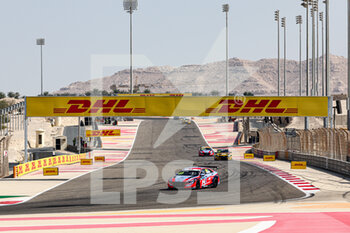 12/11/2022 - 88 CATSBURG Nicky (NLD), BRC Hyundai N Racing Team, Hyundai Elantra N TCR, action during the WTCR - Race of Bahrain 2022, 8th round of the 2022 FIA World Touring Car Cup, on the Bahrain International Circuit from November 10 to 12 in Sakhir, Bahrain - AUTO - WTCR - RACE OF BAHRAIN 2022 - TURISMO E GRAN TURISMO - MOTORI