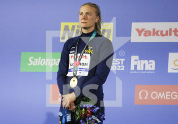 2022-06-25 - Sarah Sjostrom of Sweden Gold medal, 50 M Butterfly Women during the 19th FINA World Championships Budapest 2022, Swimming event on June 25 2022 in Budapest, Hungary - SWIMMING - FINA WORLD CHAMPIONSHIPS BUDAPEST 2022 - SWIMMING - SWIMMING