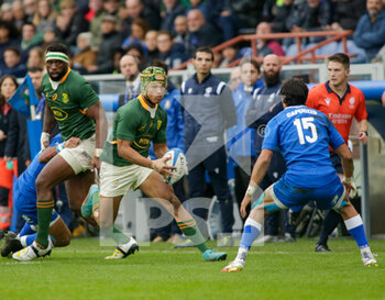 Italy vs South Africa - AUTUMN NATIONS SERIES - RUGBY