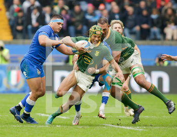 19/11/2022 - Cheslin Kolbe of South Africa during the ANS - Autumn Nations Series Italy, rugby match between Italy and South Africa on 19 November 2022 at Luigi Ferrarsi Stadium in Genova, Italy. Photo Nderim Kaceli - ITALY VS SOUTH AFRICA - AUTUMN NATIONS SERIES - RUGBY
