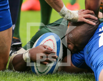 19/11/2022 - Bongi Mbonambi of South Africa scoring a try during the ANS - Autumn Nations Series Italy, rugby match between Italy and South Africa on 19 November 2022 at Luigi Ferrarsi Stadium in Genova, Italy. Photo Nderim Kaceli - ITALY VS SOUTH AFRICA - AUTUMN NATIONS SERIES - RUGBY