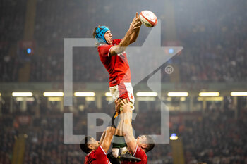 05/11/2022 - Justin Tipuric of Wales during the 2022 Autumn Nations Series, rugby union test match between Wales and New Zealand on November 5, 2022 at Principality Stadium in Cardiff, Wales - RUGBY - TEST MATCH - WALES V NEW ZEALAND - AUTUMN NATIONS SERIES - RUGBY