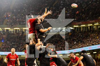 05/11/2022 - Sam Whitelock of New Zealand and Will Rowlands of Wales vie for the line out during the 2022 Autumn Nations Series, rugby union test match between Wales and New Zealand on November 5, 2022 at Principality Stadium in Cardiff, Wales - RUGBY - TEST MATCH - WALES V NEW ZEALAND - AUTUMN NATIONS SERIES - RUGBY