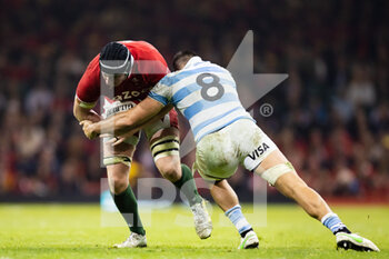 12/11/2022 - Adam Beard of Wales under pressure from Pablo Matera of Argentina during the 2022 Autumn Nations Series, rugby union test match between Wales and Argentina on November 12, 2022 at Millenium Stadium in Cardiff, Wales - RUGBY - TEST MATCH - WALES V ARGENTINA - AUTUMN NATIONS SERIES - RUGBY