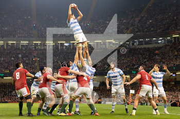 12/11/2022 - Juan Martin Gonzalez of Argentina claims the lineout during the 2022 Autumn Nations Series, rugby union test match between Wales and Argentina on November 12, 2022 at Millenium Stadium in Cardiff, Wales - RUGBY - TEST MATCH - WALES V ARGENTINA - AUTUMN NATIONS SERIES - RUGBY