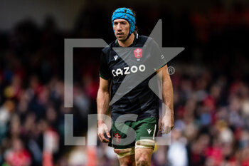 19/11/2022 - Justin Tipuric of Wales during the 2022 Autumn Nations Series, rugby union test match between Wales and Georgia on November 19, 2022 at Millenium Stadium in Cardiff, Wales - RUGBY - TEST MATCH - WALES V GEORGIA - AUTUMN NATIONS SERIES - RUGBY