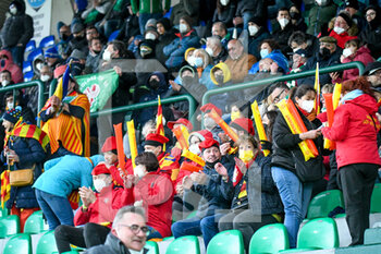 2022-04-09 - USA Perpignan supporters - BENETTON RUGBY VS USA PERPIGNAN - CHALLENGE CUP - RUGBY
