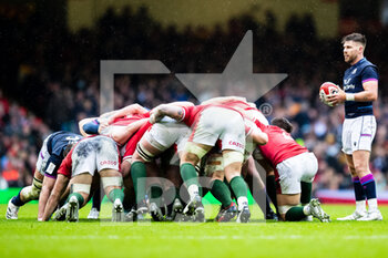 2022-02-12 - Ali Price of Scotland waits to put in at the scrum during the Six Nations 2022, rugby union match between Wales and Scotland on February 12, 2022 at Principality Stadium in Cardiff, Wales - SIX NATIONS 2022 - WALES VS SCOTLAND - SIX NATIONS - RUGBY