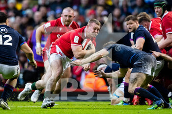2022-02-12 - Dewi Lake of Wales during the Six Nations 2022, rugby union match between Wales and Scotland on February 12, 2022 at Principality Stadium in Cardiff, Wales - SIX NATIONS 2022 - WALES VS SCOTLAND - SIX NATIONS - RUGBY
