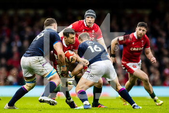 2022-02-12 - Tomos Williams of Wales under pressure from George Turner of Scotland during the Six Nations 2022, rugby union match between Wales and Scotland on February 12, 2022 at Principality Stadium in Cardiff, Wales - SIX NATIONS 2022 - WALES VS SCOTLAND - SIX NATIONS - RUGBY