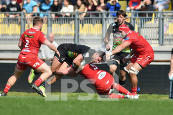 2022-03-26 - renato giammarioli (zebre) and jac price (scarlets) - ZEBRE RUGBY CLUB VS SCARLETS - UNITED RUGBY CHAMPIONSHIP - RUGBY