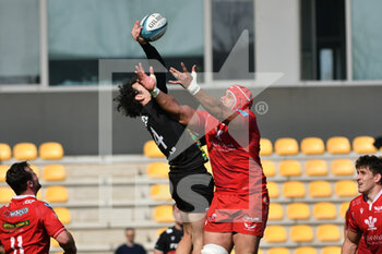 Zebre Rugby Club vs Scarlets - UNITED RUGBY CHAMPIONSHIP - RUGBY