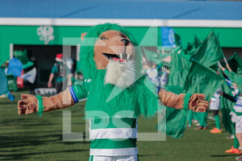 24/12/2022 - Benetton mascotte - BENETTON RUGBY VS ZEBRE RUGBY CLUB - UNITED RUGBY CHAMPIONSHIP - RUGBY