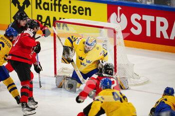 2022-05-26 - ULLMARK Linus(Sweden) 

  (Canada)  - IIHF ICE HOCKEY WORLD CHAMPIONSHIP - QUARTERFINALS - SWEDEN VS CANADA - ICE HOCKEY - WINTER SPORTS