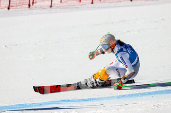 2022-01-25 - Petra VLHOVA (SVK) - 2022 FIS SKI WORLD CUP - WOMEN GIANT SLALOM - ALPINE SKIING - WINTER SPORTS
