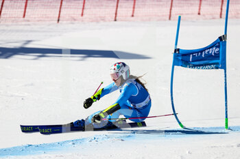 2022-01-25 - Marta BASSINO (ITA) - 2022 FIS SKI WORLD CUP - WOMEN GIANT SLALOM - ALPINE SKIING - WINTER SPORTS
