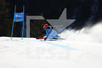 2022-01-25 - Federica BRIGNONE (ITA) - 2022 FIS SKI WORLD CUP - WOMEN GIANT SLALOM - ALPINE SKIING - WINTER SPORTS
