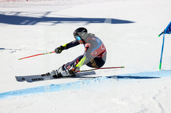 2022-01-25 - Sara HECTOR (SWE) - 2022 FIS SKI WORLD CUP - WOMEN GIANT SLALOM - ALPINE SKIING - WINTER SPORTS
