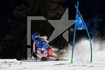 2022-01-25 - Katharina TRUPPE (AUT) - 2022 FIS SKI WORLD CUP - WOMEN GIANT SLALOM - ALPINE SKIING - WINTER SPORTS