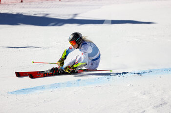 2022-01-25 - Nina O BRIEN (USA) - 2022 FIS SKI WORLD CUP - WOMEN GIANT SLALOM - ALPINE SKIING - WINTER SPORTS