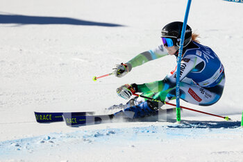 2022-01-25 - Ana BUCIK (SLO) - 2022 FIS SKI WORLD CUP - WOMEN GIANT SLALOM - ALPINE SKIING - WINTER SPORTS