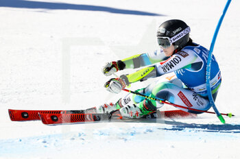 2022-01-25 - Paula MOLTZAN (USA) - 2022 FIS SKI WORLD CUP - WOMEN GIANT SLALOM - ALPINE SKIING - WINTER SPORTS