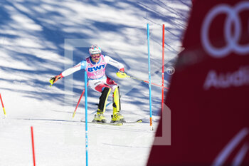 2022-01-15 - 16.01.2022, Wengen, Wengen, FIS Ski World Cup: Lauberhorn Wengen, Daniel Jule (Switzerland) during the 2nd run - 2022 FIS SKI WORLD CUP - LAUBERHORN - ALPINE SKIING - WINTER SPORTS