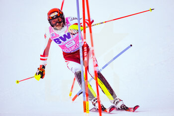 2022-01-15 - 16.01.2022, Wengen, Wengen, FIS Ski World Cup: Lauberhorn Wengen, Michael Matt (Austria)  during the 1st run - 2022 FIS SKI WORLD CUP - LAUBERHORN - ALPINE SKIING - WINTER SPORTS
